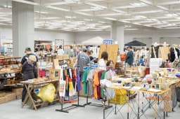 ZAKKA WONDERLAND